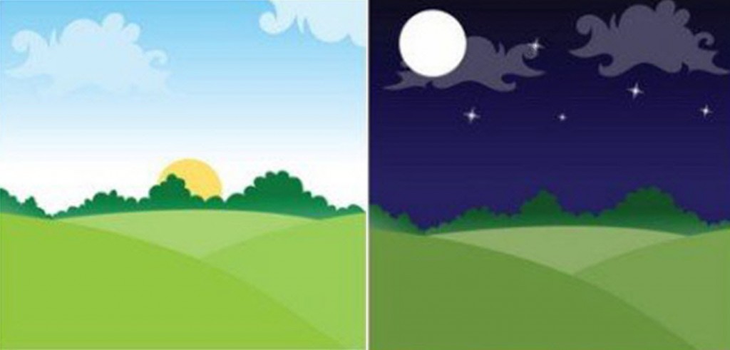 Day-and-night-vector